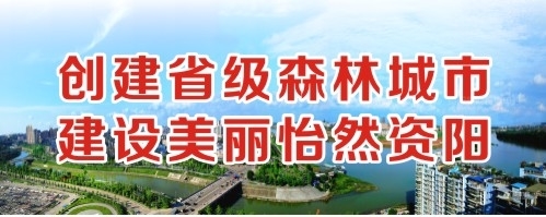 桶逼桶逼再桶逼免费视频创建省级森林城市 建设美丽怡然资阳